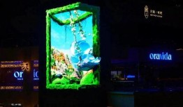 爆料豪豪橱窗视频,揭秘幕后精彩瞬间