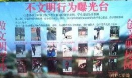 职业学校爆料事件视频,揭开教育乱象的真相