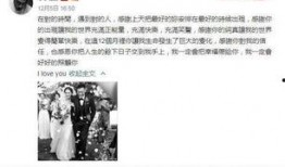娱乐公司吃瓜事件视频播放,视频播放揭秘幕后真相