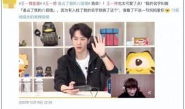 陈龙爆料豆豆视频大全集,豆豆视频大全集背后的精彩故事