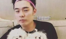 网友爆料张云龙事件视频,网友热议真相揭晓