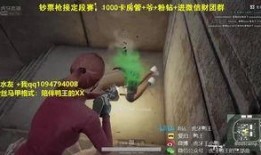 鸭王小视频在线观看,趣味横生的短视频盛宴