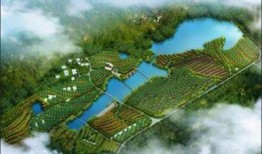 闽侯新闻爆料网最新消息