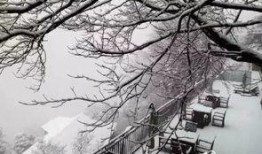 爆料下雪的视频,下雪视频曝光，银装素裹美景如画