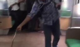 火车上有蛇在线观看,蛇影重重，揭秘神秘蛇行之旅