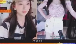 原神主播爆料视频大全,揭秘游戏幕后故事与精彩瞬间