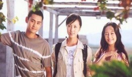 蒲公英电视剧在线观看,飘向何方的青春记忆