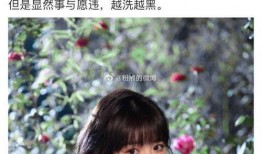 吃大瓜了娱乐圈,揭秘明星幕后故事