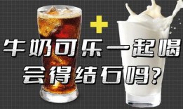 瓶子最新爆料视频大全,揭秘娱乐圈幕后真相