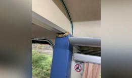 火车上有蛇在线观看,蛇影重重，揭秘神秘蛇行之旅