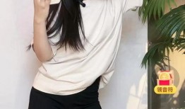 刘晨爆料倪海杉视频播放,真相与争议