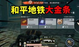 地铁逃生新爆料最新护甲,揭秘最新护甲技术，守护生命安全