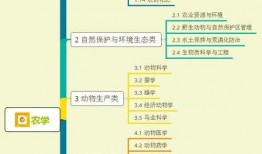 瑞婷最新爆料视频大全集,揭秘幕后真相，带你走进事件核心