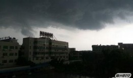 暴风雨郑州爆料视频播放,网友爆料视频引关注