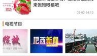 肥西女婿爆料新闻视频大全,新闻视频大全揭秘幕后真相